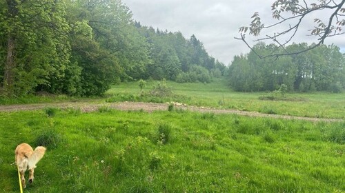 Bild 1 - Großes Grundstück 7100m2 in Polen zu verkaufen