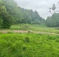 Großes Grundstück 7100m2 in Polen zu verkaufen - Sciegny Großes Grundstück 7100m2 in Polen zu verkaufen - Sciegny