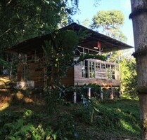 50 Hektar unberührter Amazonas-Regenwald mit Holzhaus - Canelos 50 Hektar unberührter Amazonas-Regenwald mit Holzhaus - Canelos