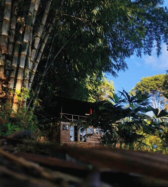 Bild 2 - 7 Zimmer Einfamilienhaus zum Kaufen in Canelos