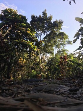 Bild 4 - Einfamilienhaus mit 515,00 m&sup2; in Canelos zum Kaufen