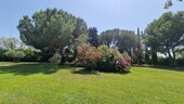 Bild 5 - 