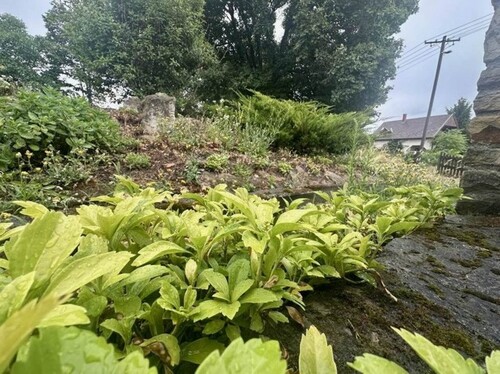 Bild 4 - Einfamilienhaus mit 65,00 m² in Rezi zum Kaufen