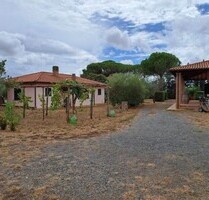 Urlaub auf dem Bauernhof in der Toskana - Scarlino