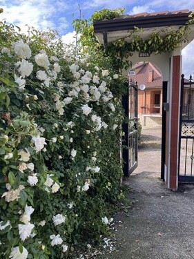 Bild 2 - 7 Zimmer Einfamilienhaus zum Kaufen in Basilicata