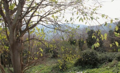 Bild 1 - Ein Ruine Haus 52m2 Grundstück 1400m2 Sandstrand 4km