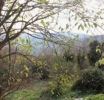 Ein Ruine Haus 52m2 Grundstück 1400m2 Sandstrand 4km - Kreis Bar