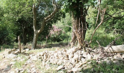 Bild 2 - 1 Zimmer Einfamilienhaus zum Kaufen in Kreis Bar