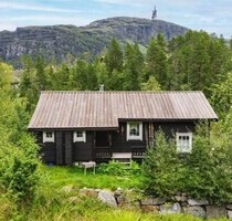 Norwegen Wunderschöne und praktisch geschnittene Hütte - Seljestad / Langedalstølen