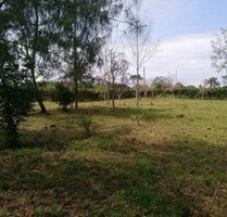 Beachgrundstücke Diani Beach Kenia