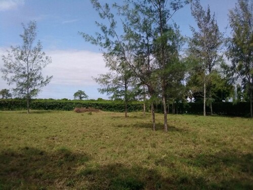 Bild 2 - Grundstück zum Kaufen in Diani Beach