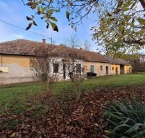 Haus 75m2 mit 8088m2 Grund im Komitat Veszprem - Veszprémgalsa