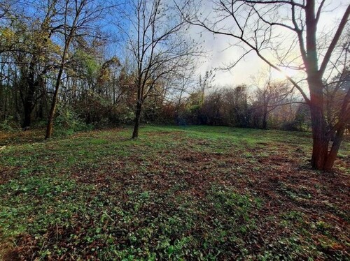 Bild 3 - 2 Zimmer Einfamilienhaus in Veszprémgalsa