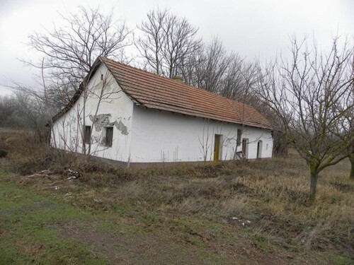 Bild 1 - Im Komitat Bacs-kiskun ein 60m2 Bauernhaus mit 6ha Land