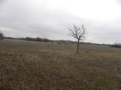 Bild 2 - 2 Zimmer Einfamilienhaus zum Kaufen in Kiskunmajsa