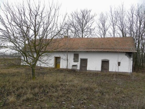 Bild 4 - Einfamilienhaus mit 60,00 m² in Kiskunmajsa zum Kaufen