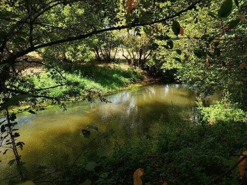 Bild 3 - Grundstück in Bałtów