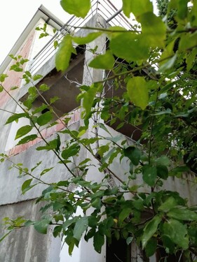 Bild 2 - 4 Zimmer Einfamilienhaus zum Kaufen in 85000 Bar-Utjeha