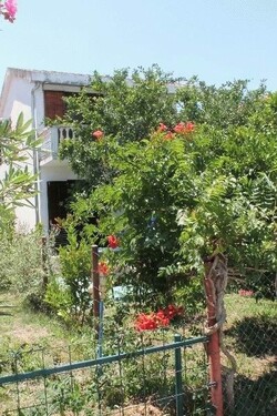 Bild 2 - 5 Zimmer Einfamilienhaus zum Kaufen in Kreis Bar