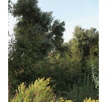 Erschlossener Baugrund ab 2000m2 Strand 4km - Kreis Bar