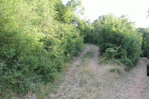 Bild 2 - Grundstück zum Kaufen in Kreis Bar