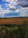 Bild 1 - Ackerland in der Nähe von Varna Bulgarien