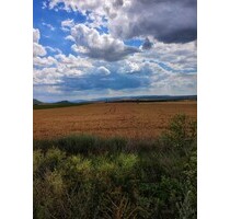 Ackerland in der Nähe von Varna Bulgarien - Suvorovo