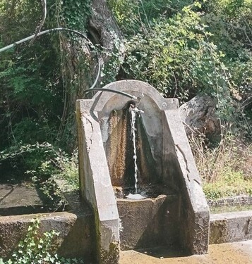 Bild 1 - Baugrund 1400m2 Ruine 50m2 Sandstrand 4km