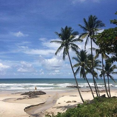 Bild 1 - 4 Hektar Grundstück mit Haus direkt am Strand in Bahia
