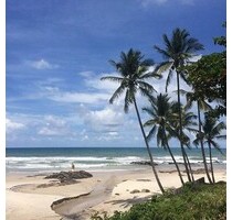 4 Hektar Grundstück mit Haus direkt am Strand in Bahia - Ilheus/ Bahia
