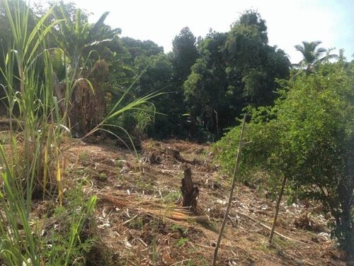 Bild 4 - Grundstück in Itaparica/ Bahia zum Kaufen