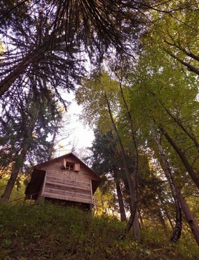 Bild 2 - 2 Zimmer Einfamilienhaus zum Kaufen in Podbrdo