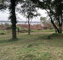 Einmaliges Baugrundstück direkt am Bolgoda Lake - Panadura