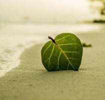 Neubau Wohnungen am Strand von Cumbuco bei Fortaleza