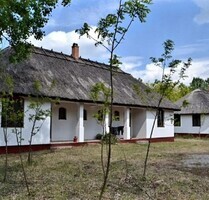 Im Komitat Bacs-kiskun ein 4 Appartment Bauernhaus - Fülöpszállás