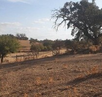 Bauernhaus geeignet für Pferde Schafe und Ziegen - Serpa Vila Nova de são Bento