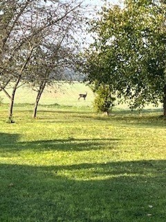 Bild 4 - Einfamilienhaus mit 90,00 m&sup2; in Zalavég zum Kaufen