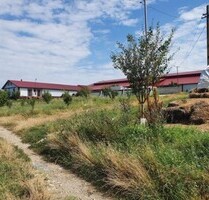 Ausgestattete Viehzuchtfarm mit 1000m2 bebauter Fläche - Vedea