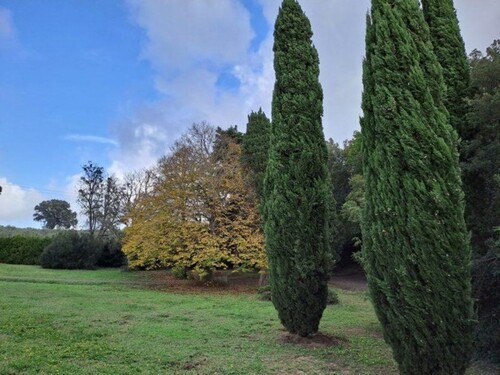 Bild 3 - 6 Zimmer Einfamilienhaus in Cecina Toskana