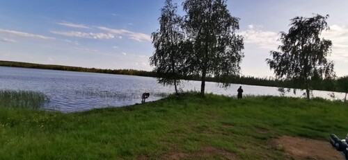 Bild 2 - 5 Zimmer Einfamilienhaus zum Kaufen in Jörn