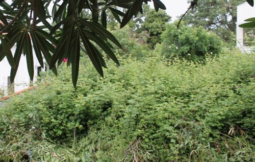 Bild 3 - Grundstück in Kreis Bar