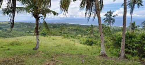 Bild 2 - Grundstück zum Kaufen in Tiguib - Argao - Cebu