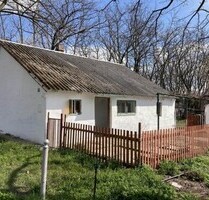 Im Komitat Bacs-kiskun ein 50m2 Bauernhaus mit 7700m2 - Lajosmizse
