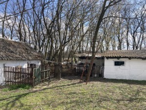 Bild 3 - 2 Zimmer Einfamilienhaus in Lajosmizse