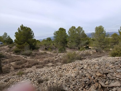 Bild 3 - Grundstück in Monovar