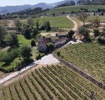 Quinta mit etablierter Weinproduktion mit ca 9 ha - Cernadelo