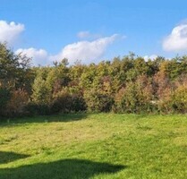 KANFANAR SMOLJANCI 1400m2 Baugrund mit Bauprojekt - Svetvincenat