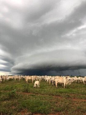 Bild 4 - Einfamilienhaus mit 200,00 m&sup2; in Cotegipr zum Kaufen