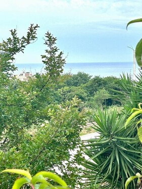 Bild 3 - 6 Zimmer Einfamilienhaus in Dobra Voda