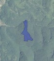 Bild 1 - Rumänien 10 Ha Laubwald zu verkaufen